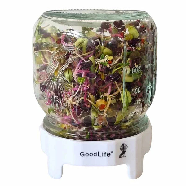Sprouting Jar Kit - 500 ml