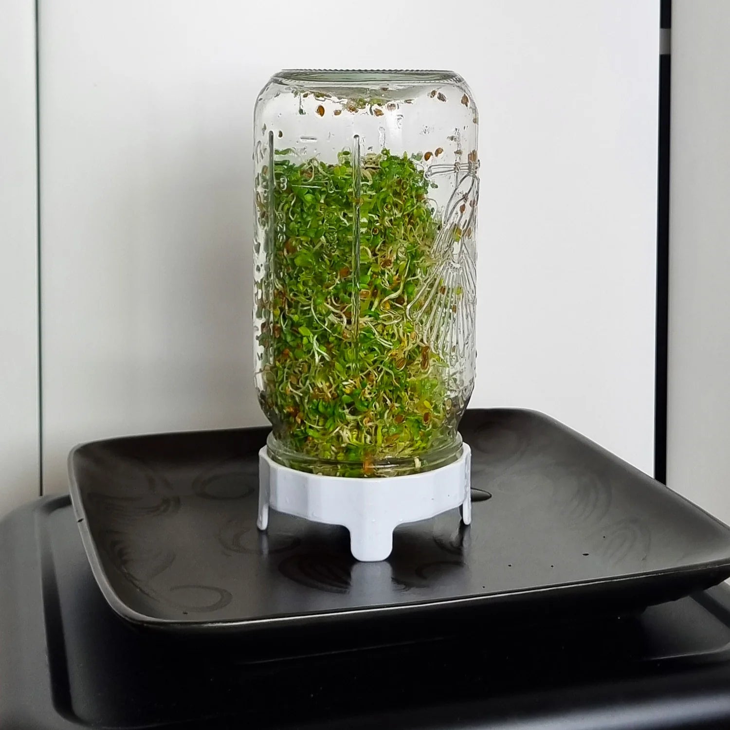 Sprouting Jar Kit - 1 Litre