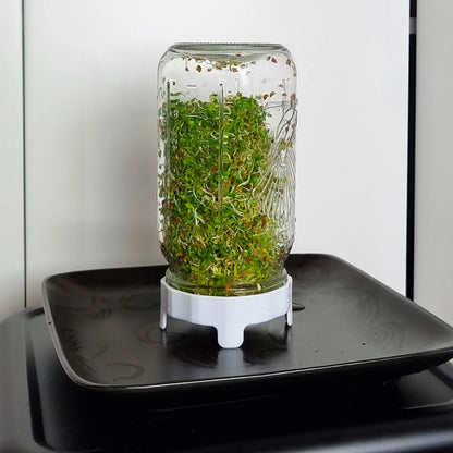 Sprouting Jar Kit - 1 Litre
